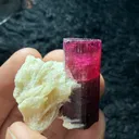 Rubellite Tourmaline from Afghanistan - image 1
