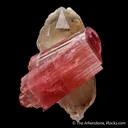 Rubellite Tourmaline with Quartz - image 1
