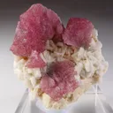 Rubellite with Albite - image 3