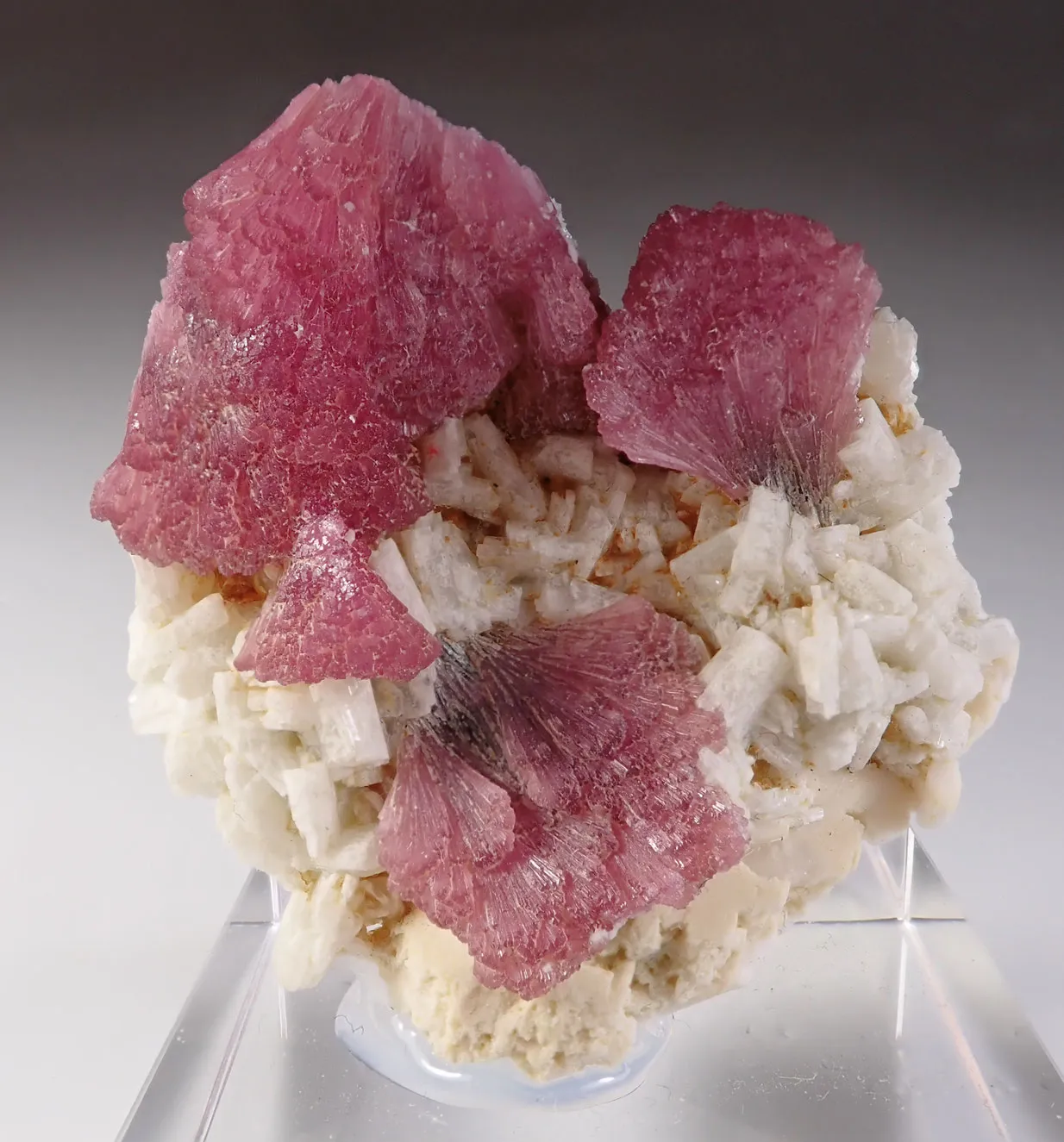 Rubellite with Albite - image 3