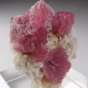 Rubellite with Albite - image 4