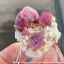 Rubellite with Albite - image 5
