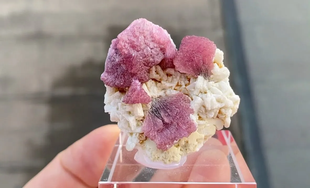 Rubellite with Albite - image 5