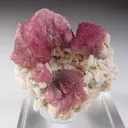 Rubellite with Albite - image 2