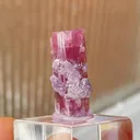 Rubellite with Lepidolite - image 5