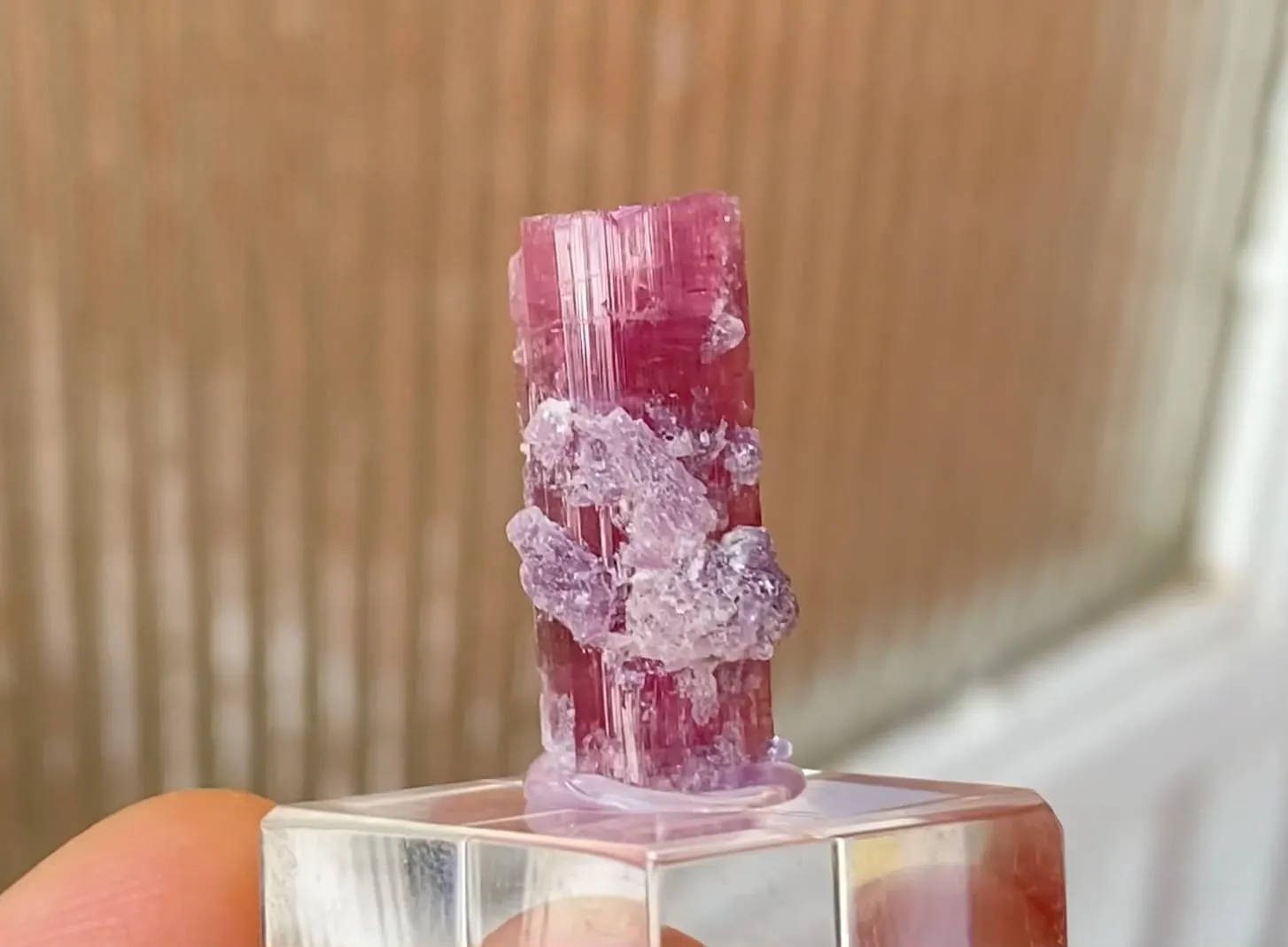 Rubellite with Lepidolite - image 5