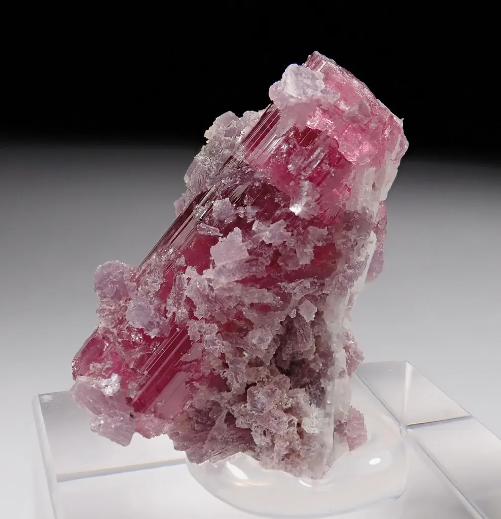 Rubellite with Lepidolite image