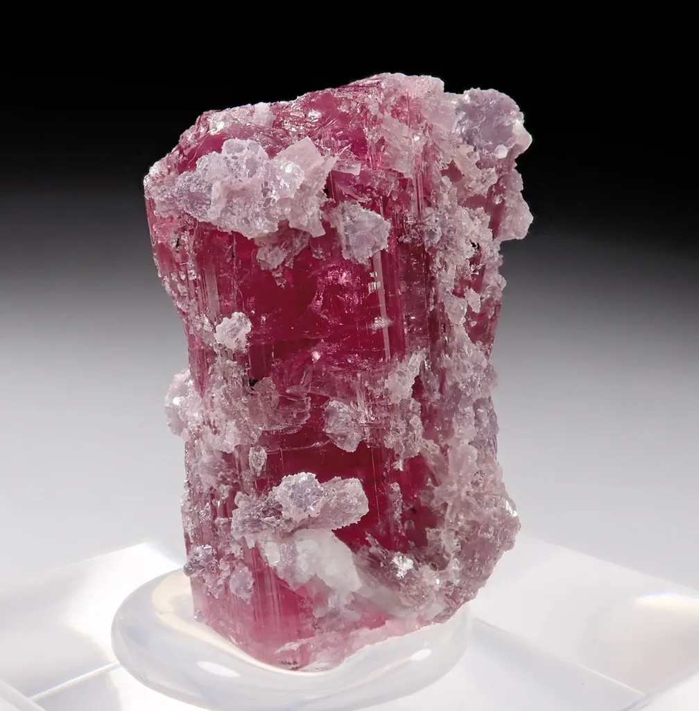 Rubellite with Lepidolite image