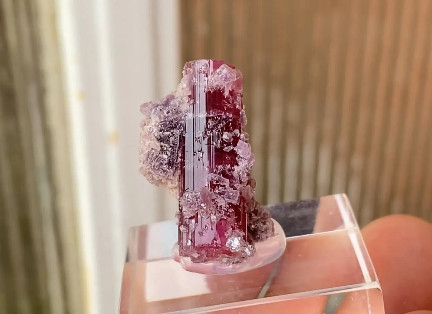 Rubellite with Lepidolite - image 5