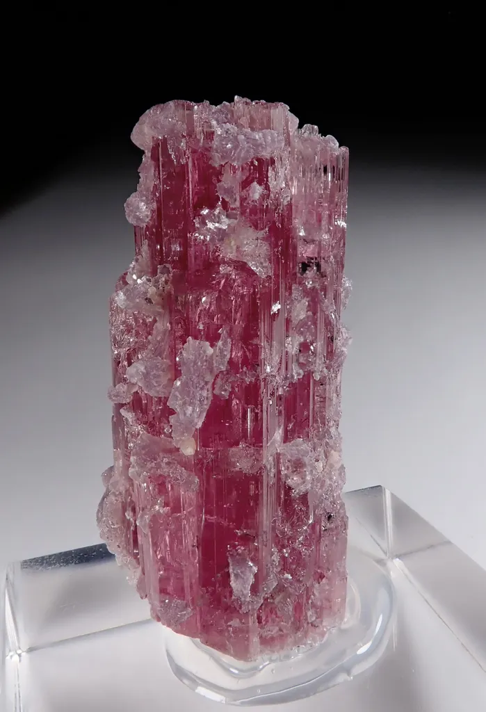 Rubellite with Lepidolite image