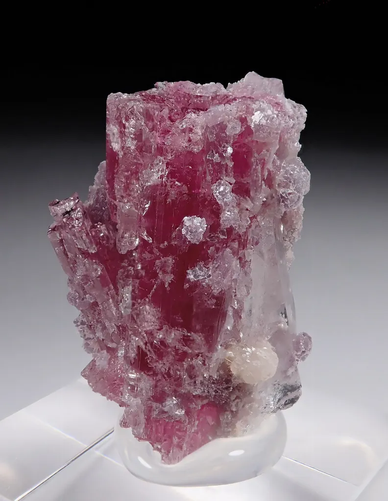 Rubellite with Lepidolite and Quartz image