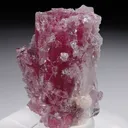 Rubellite with Lepidolite and Quartz - image 1