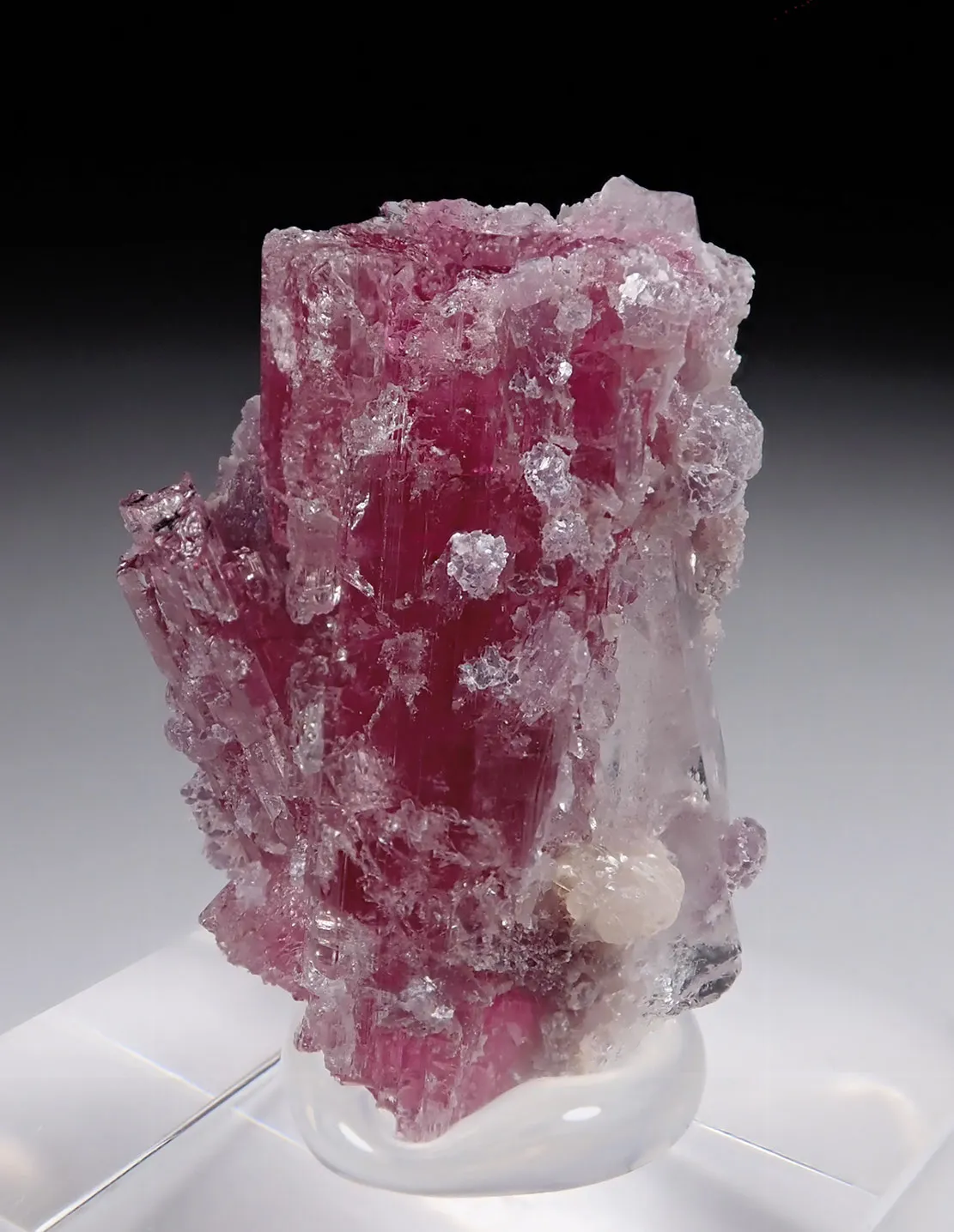 Rubellite with Lepidolite and Quartz - image 1