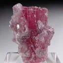 Rubellite with Lepidolite and Quartz - image 3