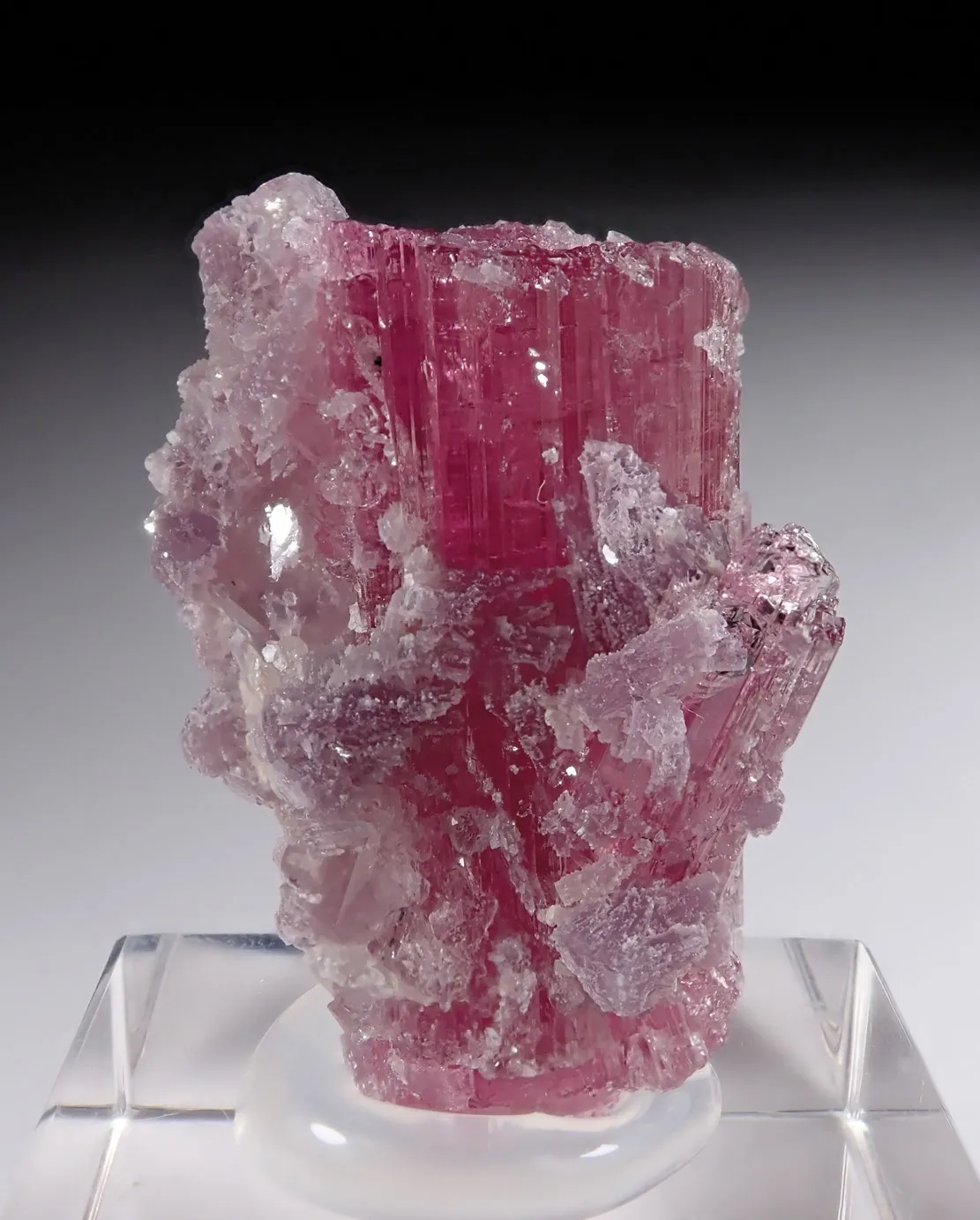 Rubellite with Lepidolite and Quartz - image 3