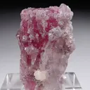 Rubellite with Lepidolite and Quartz - image 4