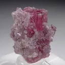 Rubellite with Lepidolite and Quartz - image 2