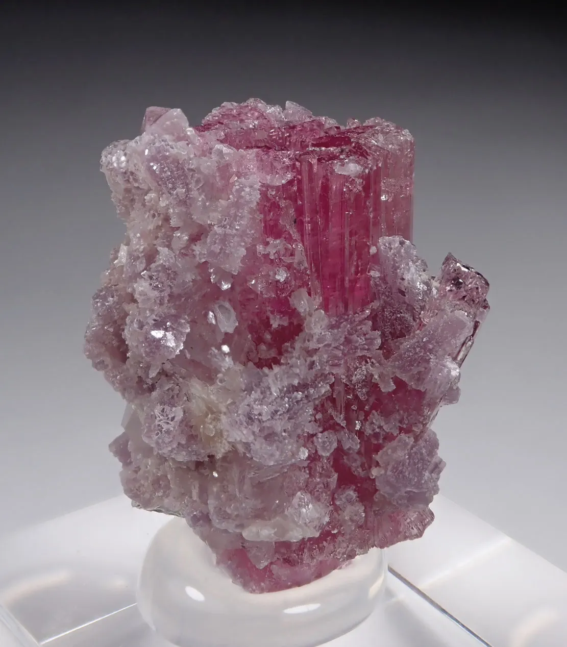 Rubellite with Lepidolite and Quartz - image 2