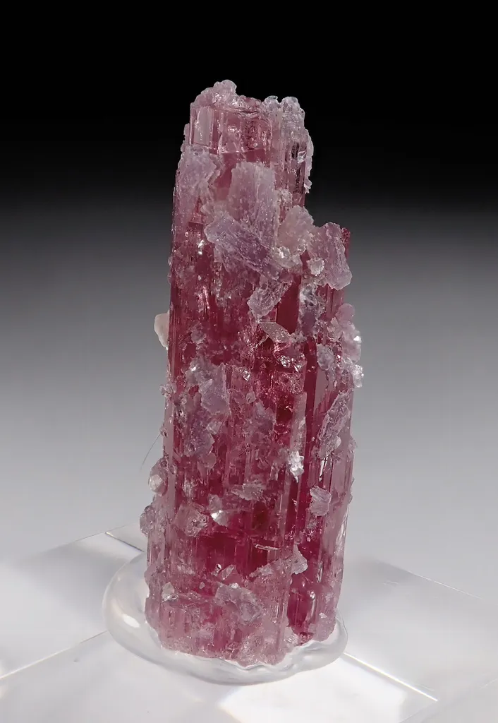 Rubellite with Lepidolite image