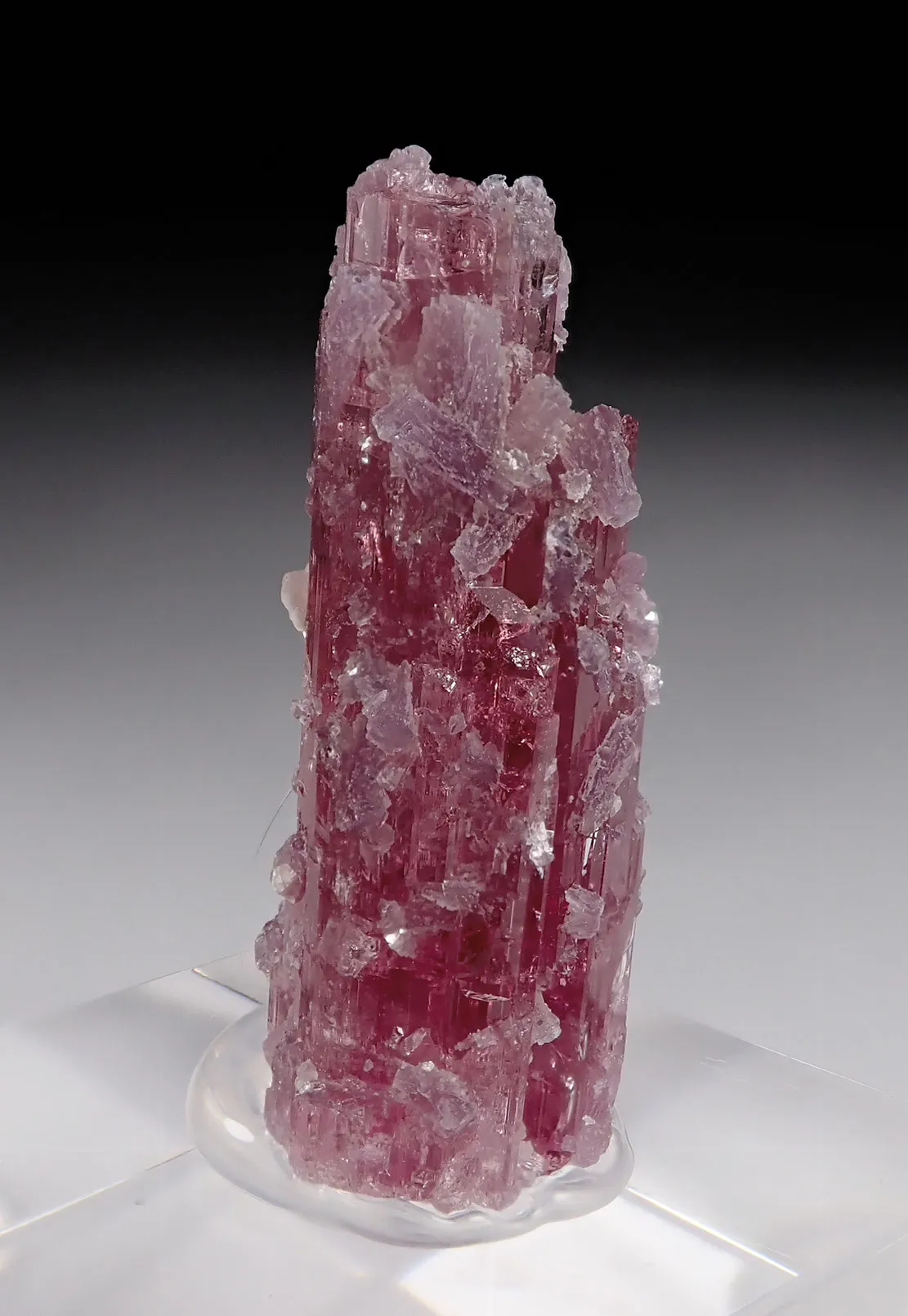 Rubellite with Lepidolite - image 1