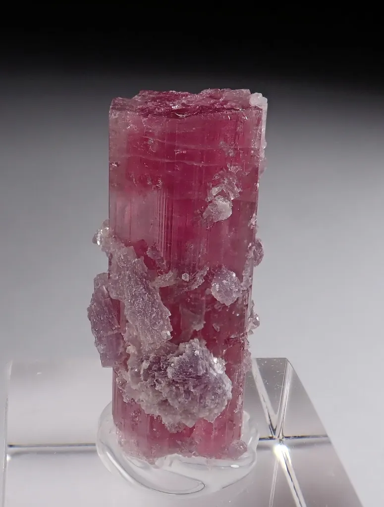 Rubellite with Lepidolite image