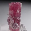 Rubellite with Lepidolite - image 1