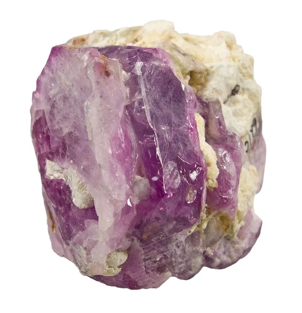 Ruby - image 6