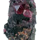 Ruby - image 1