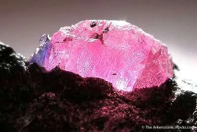 Ruby - image 3