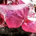 Ruby - image 3