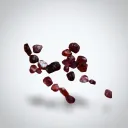 Ruby - image 2
