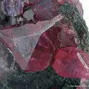 Ruby - image 2