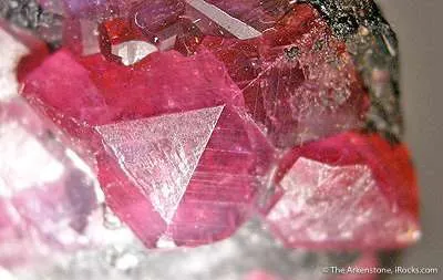 Ruby - image 4