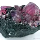 Ruby - image 2