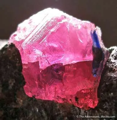 Ruby - image 2