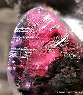 Ruby - image 4