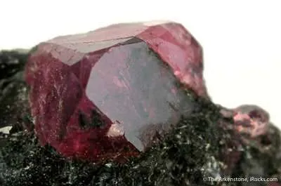 Ruby - image 2