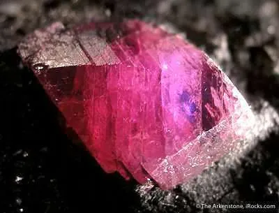 Ruby - image 2