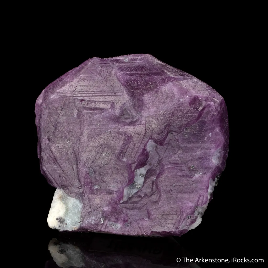 Ruby - image 4
