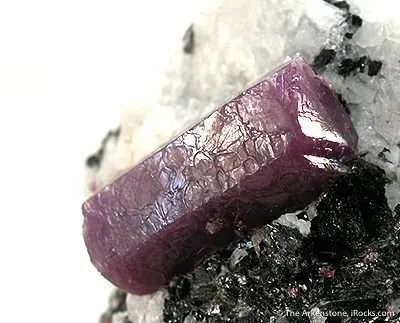 Ruby - image 2