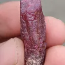 specimen video