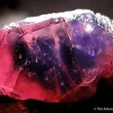Ruby - image 1