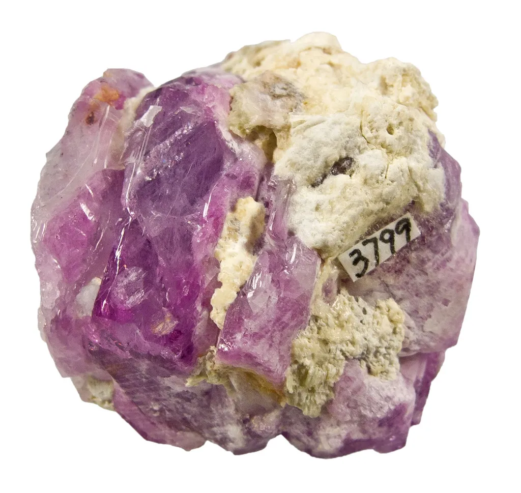 Ruby - image 5