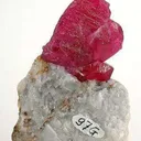 Ruby - image 2