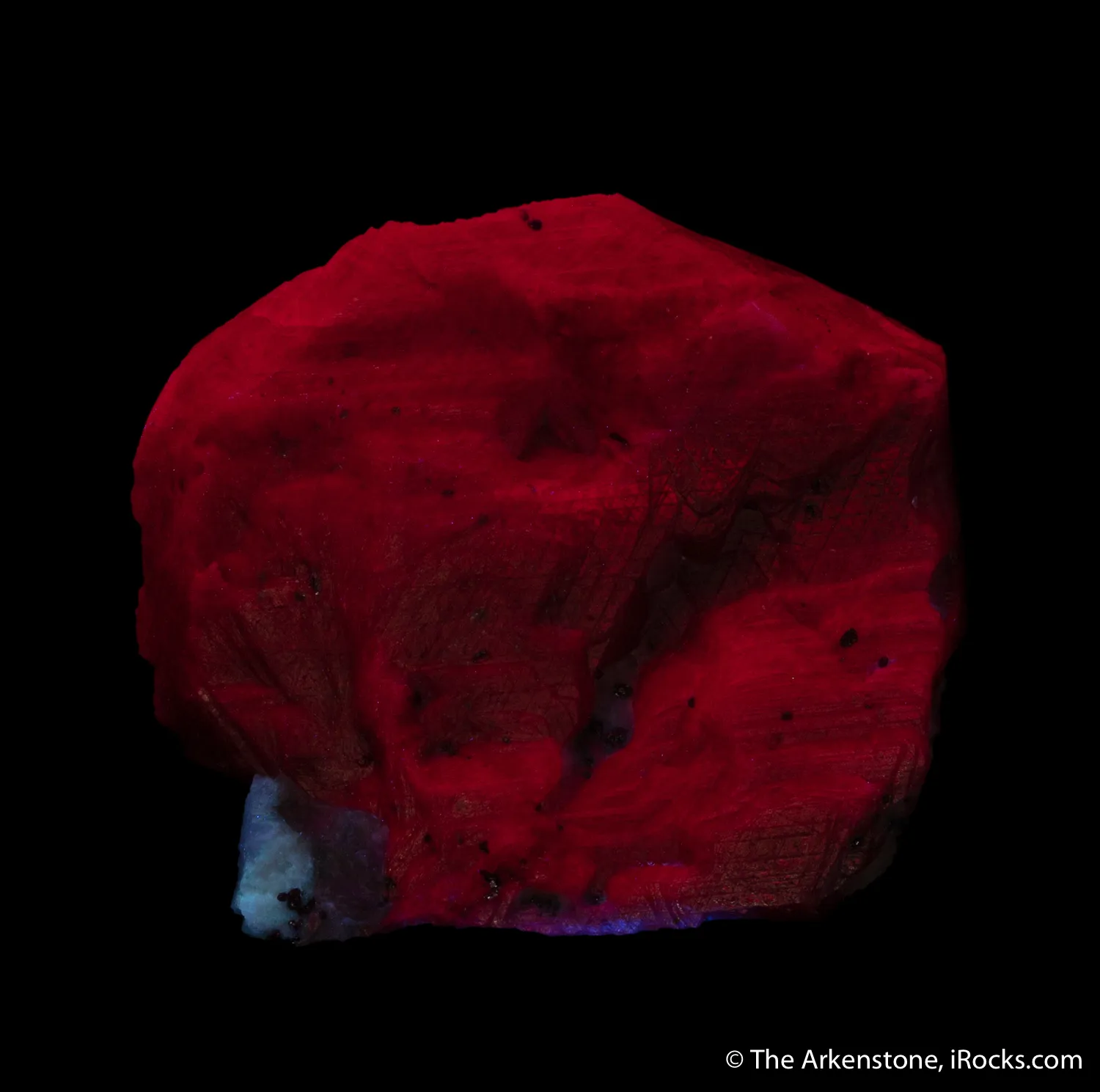 Ruby - image 5