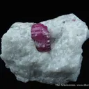 Ruby (Fluorescent) - image 1