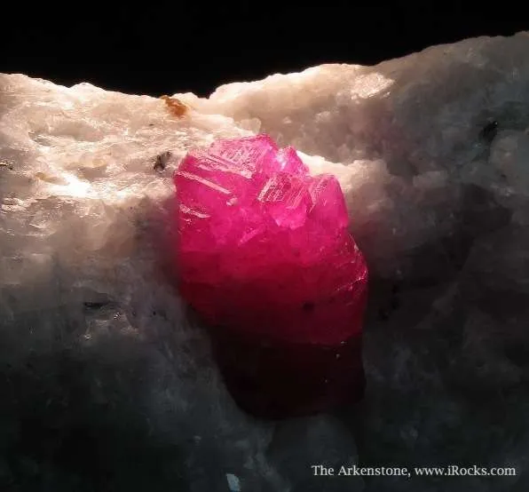 Ruby (Fluorescent) - image 3