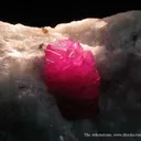 Ruby (Fluorescent) - image 3