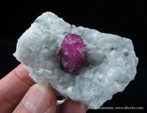 Ruby (Fluorescent) - image 4