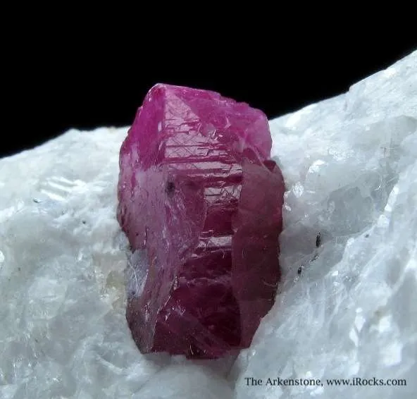 Ruby (Fluorescent) - image 2